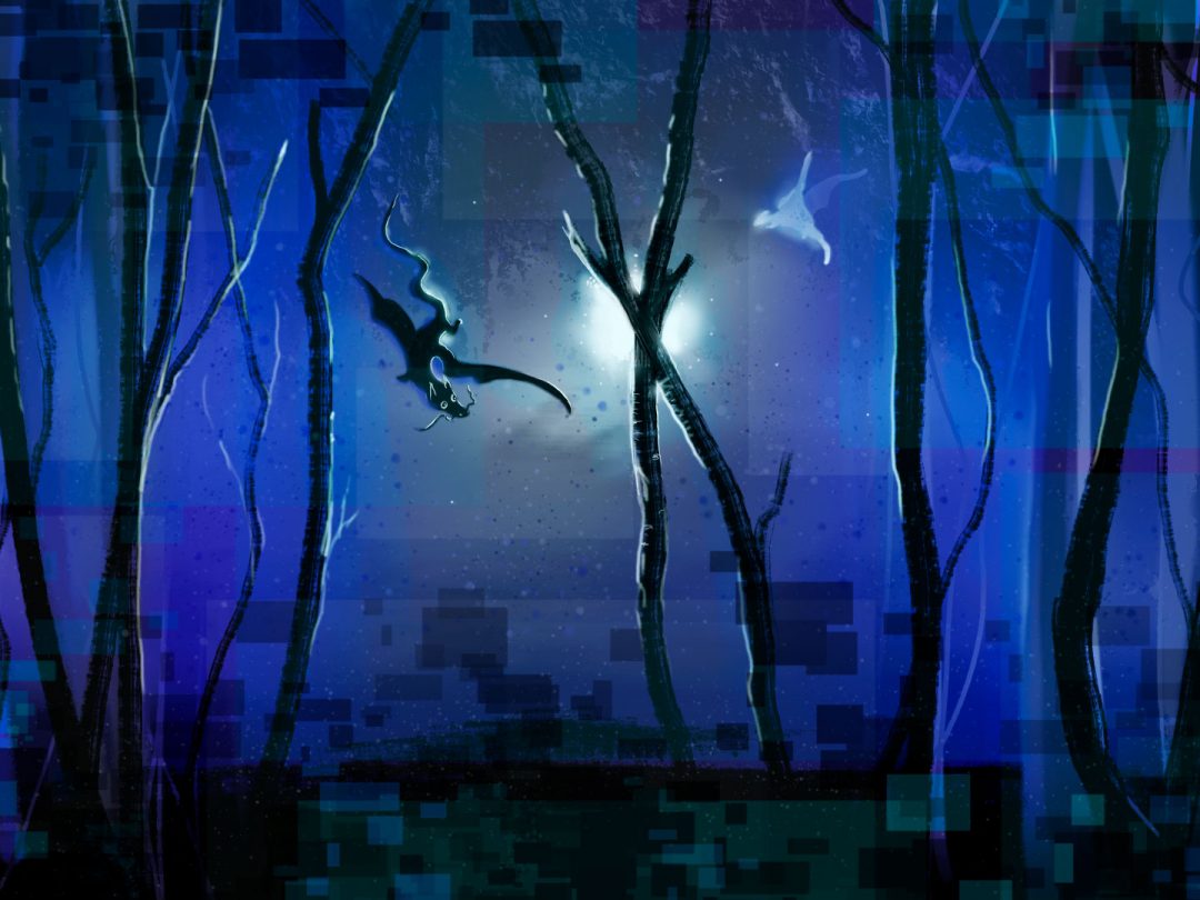 Ying and Yang dragon fly