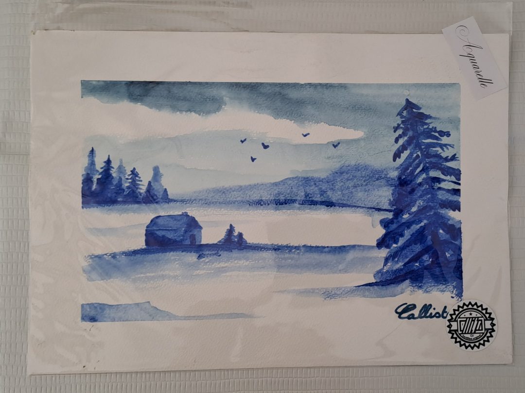 Oeuvre originale - aquarelle - paysage le chalet