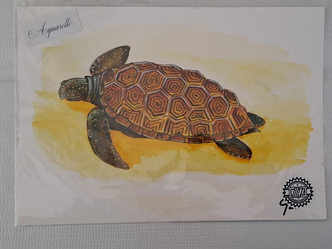 Oeuvre originale - aquarelle - la tortue