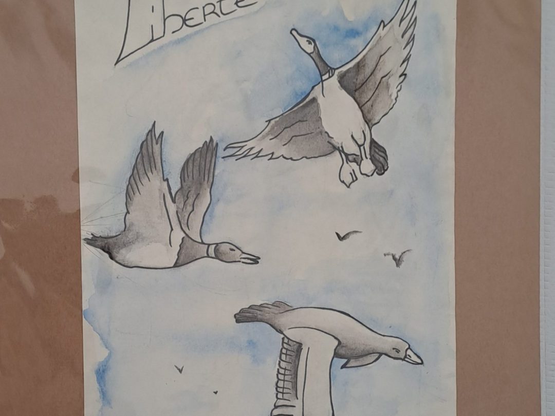 Oeuvre originale - Aquarelle - Liberté