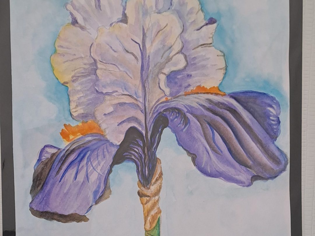 Oeuvre originale - Aquarelle - L'iris